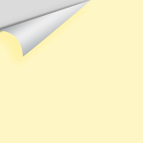 Benjamin Moore - Light Yellow 2022-60 Peel & Stick Color Sample