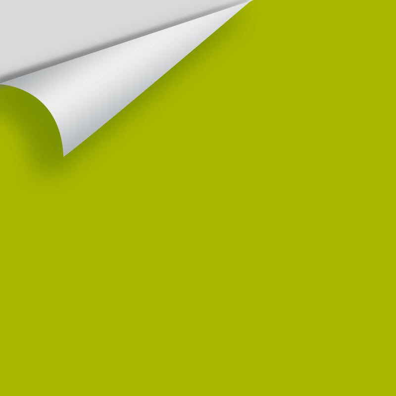 Benjamin Moore - Lime Green 2026-10 Peel & Stick Color Sample