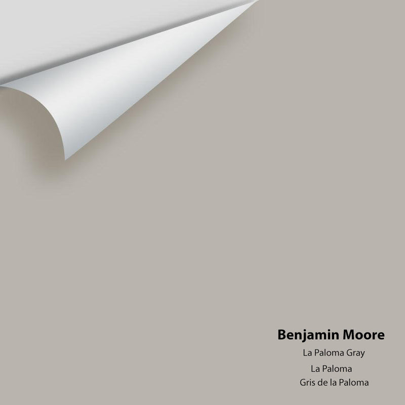 Benjamin Moore - La Paloma Gray 1551 Peel & Stick Color Sample