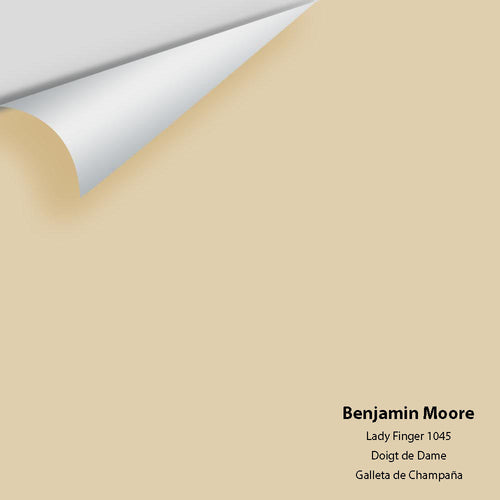 Benjamin Moore - Lady Finger 1045 Peel & Stick Color Sample