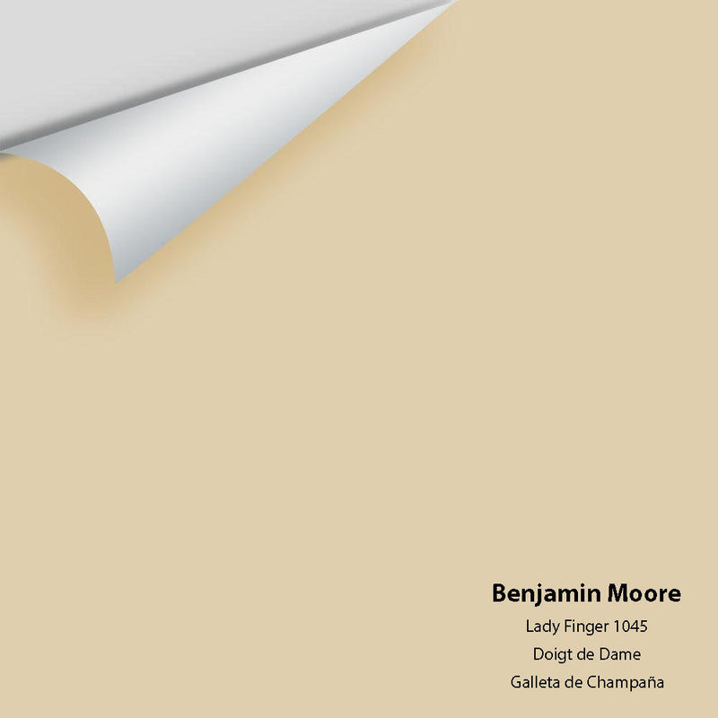 Benjamin Moore - Lady Finger 1045 Peel & Stick Color Sample