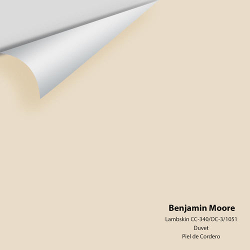 Benjamin Moore - Lambskin 1051/CC-340/OC-3 Peel & Stick Color Sample