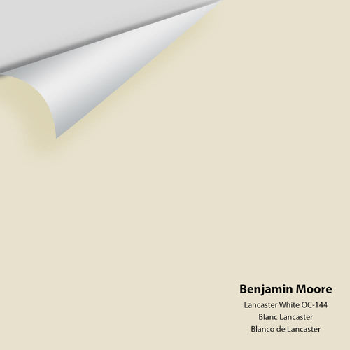 Benjamin Moore - Lancaster White OC-144 Peel & Stick Color Sample