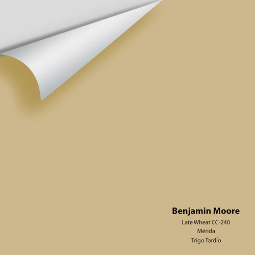 Benjamin Moore - Late Wheat CC-240 Peel & Stick Color Sample