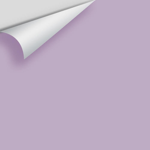 Benjamin Moore - Lavender Lipstick 2072-50 Peel & Stick Color Sample