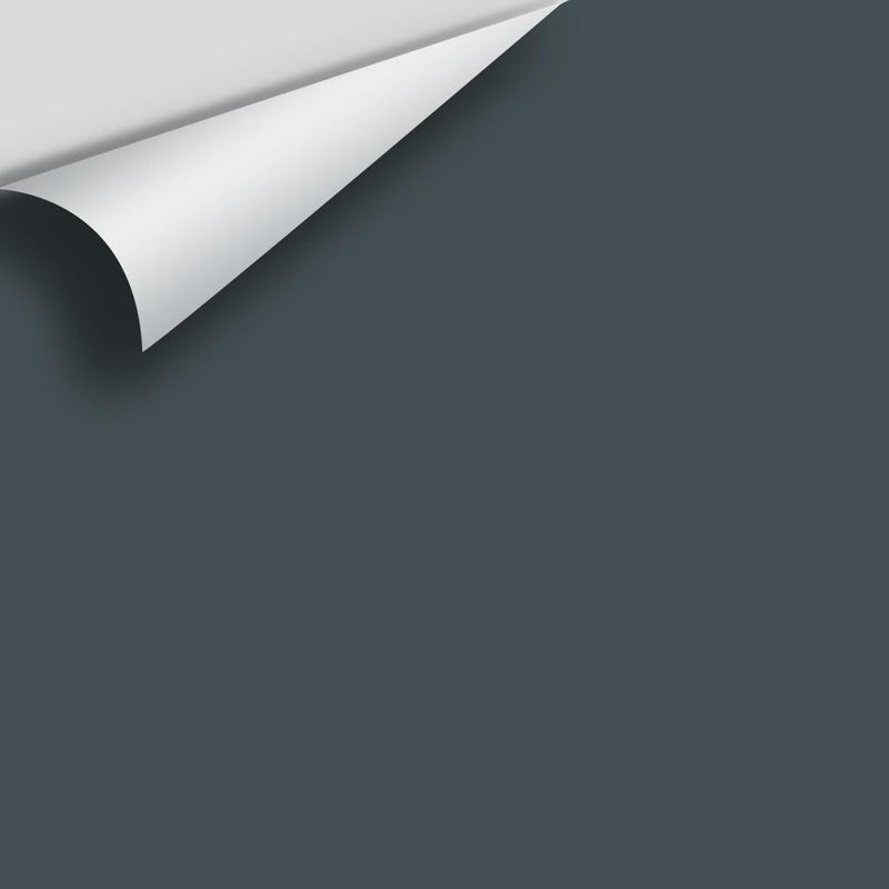 Benjamin Moore - Lead Gray 2131-30 Peel & Stick Color Sample