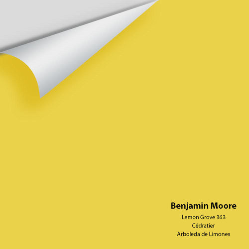 Benjamin Moore - Lemon Grove 363 Peel & Stick Color Sample