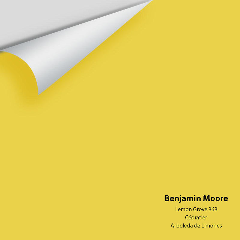 Benjamin Moore - Lemon Grove 363 Peel & Stick Color Sample