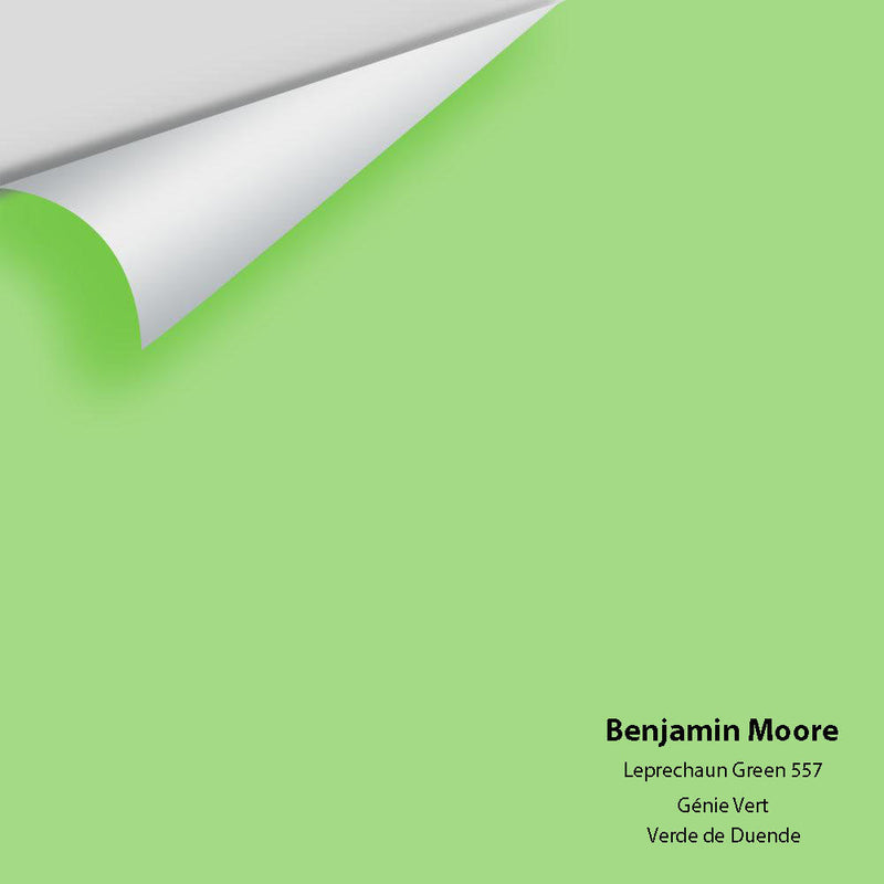 Benjamin Moore - Leprechaun Green 557 Peel & Stick Color Sample
