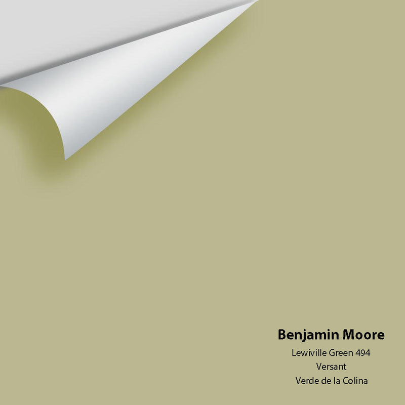 Benjamin Moore - Lewiville Green 494 Peel & Stick Color Sample