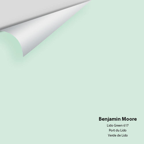 Benjamin Moore - Lido Green 617 Peel & Stick Color Sample