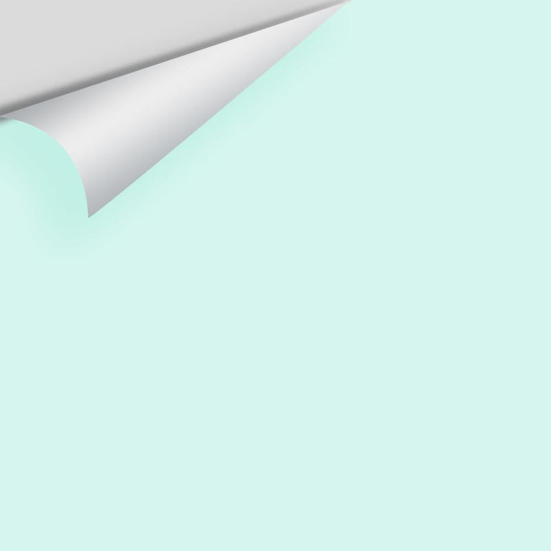 Benjamin Moore - Light Mint 2046-70 Peel & Stick Color Sample