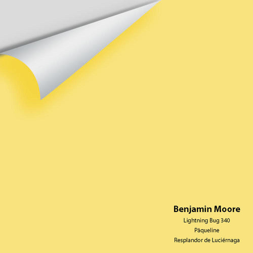 Benjamin Moore - Lightning Bug 340 Peel & Stick Color Sample