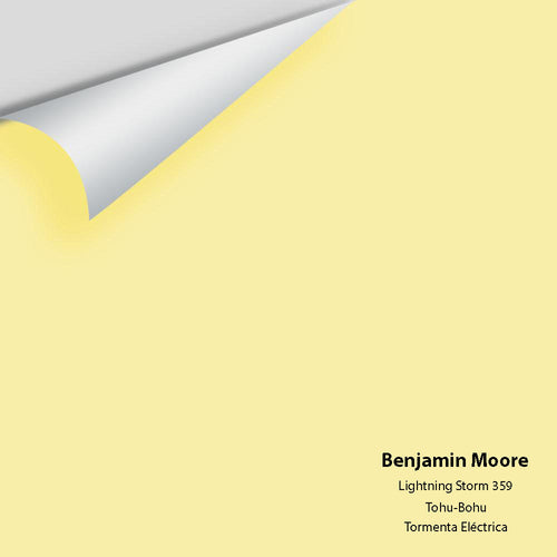 Benjamin Moore - Lightning Storm 359 Peel & Stick Color Sample