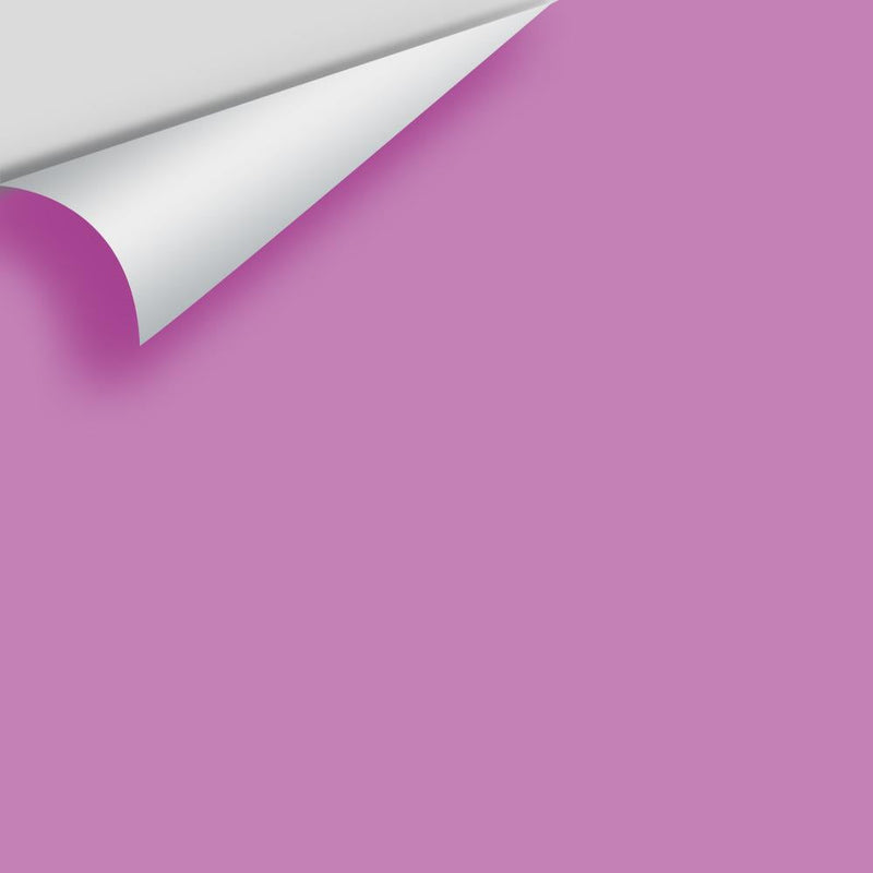 Benjamin Moore - Lilac Pink 2074-40 Peel & Stick Color Sample