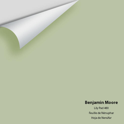 Benjamin Moore - Lily Pad 480 Peel & Stick Color Sample