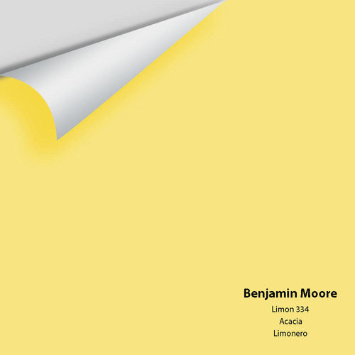Benjamin Moore - Limon 334 Peel & Stick Color Sample