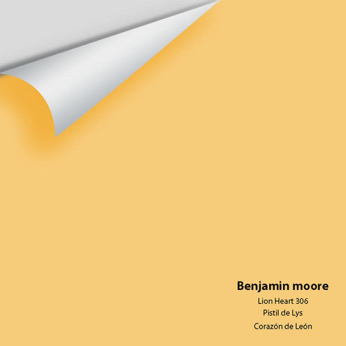 Benjamin Moore - Lion Heart 306 Peel & Stick Color Sample