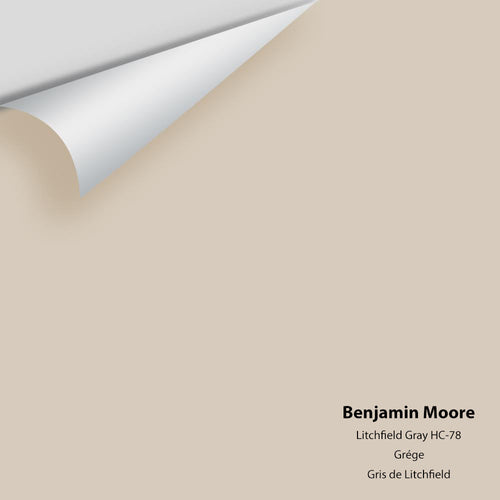 Benjamin Moore - Litchfield Gray HC-78 Peel & Stick Color Sample