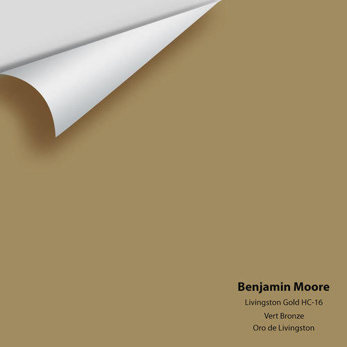 Benjamin Moore - Livingston Gold HC-16 Peel & Stick Color Sample
