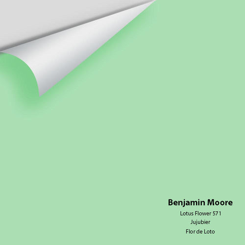 Benjamin Moore - Lotus Flower 571 Peel & Stick Color Sample