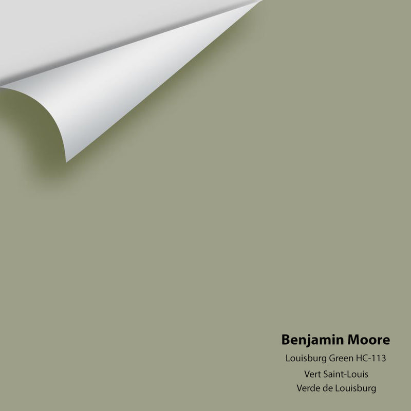 Benjamin Moore - Louisburg Green HC-113 Peel & Stick Color Sample