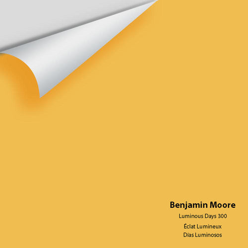 Benjamin Moore - Luminous Days 300 Peel & Stick Color Sample