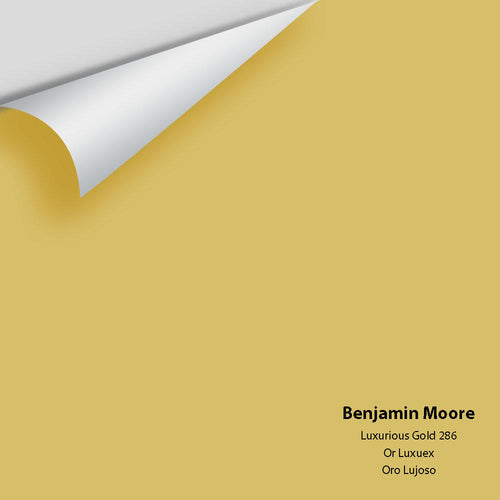 Benjamin Moore - Luxurious Gold 286 Peel & Stick Color Sample