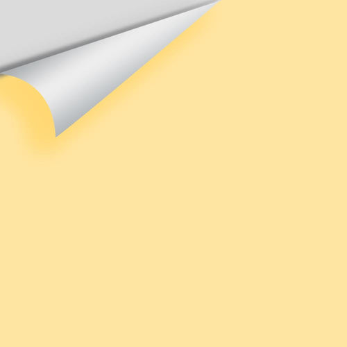 Benjamin Moore - Morning Sunshine 2018-50 Peel & Stick Color Sample