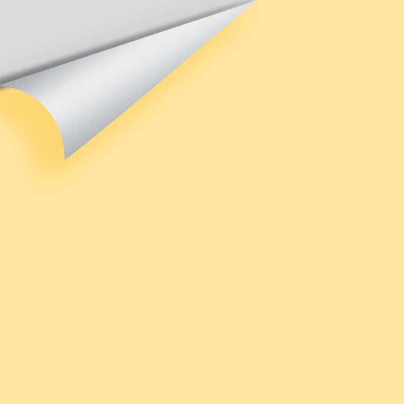 Benjamin Moore - Morning Sunshine 2018-50 Peel & Stick Color Sample