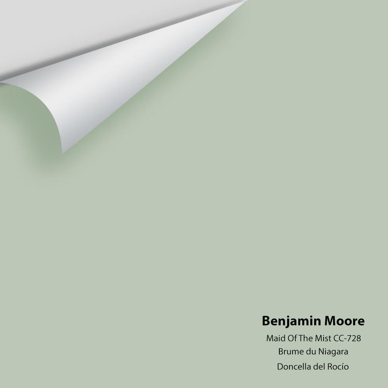 Benjamin Moore - Maid Of The Mist CC-728 Peel & Stick Color Sample
