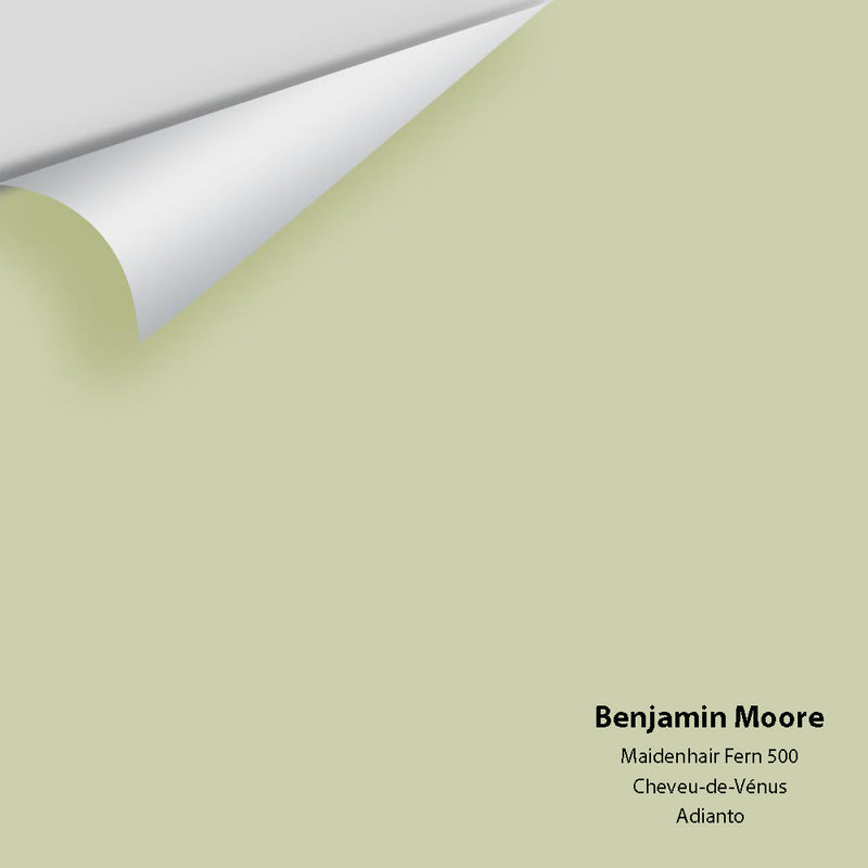 Benjamin Moore - Maidenhair Fern 500 Peel & Stick Color Sample