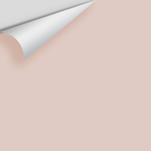 Benjamin Moore - Malted Milk 2099-60 Peel & Stick Color Sample