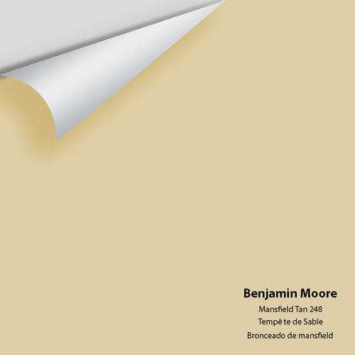 Benjamin Moore - Mansfield Tan 248 Peel & Stick Color Sample