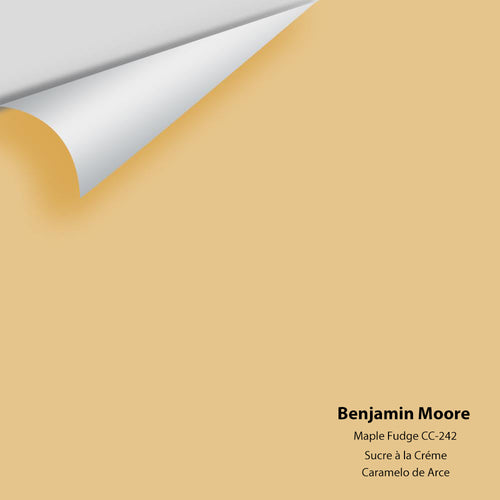 Benjamin Moore - Maple Fudge CC-242 Peel & Stick Color Sample
