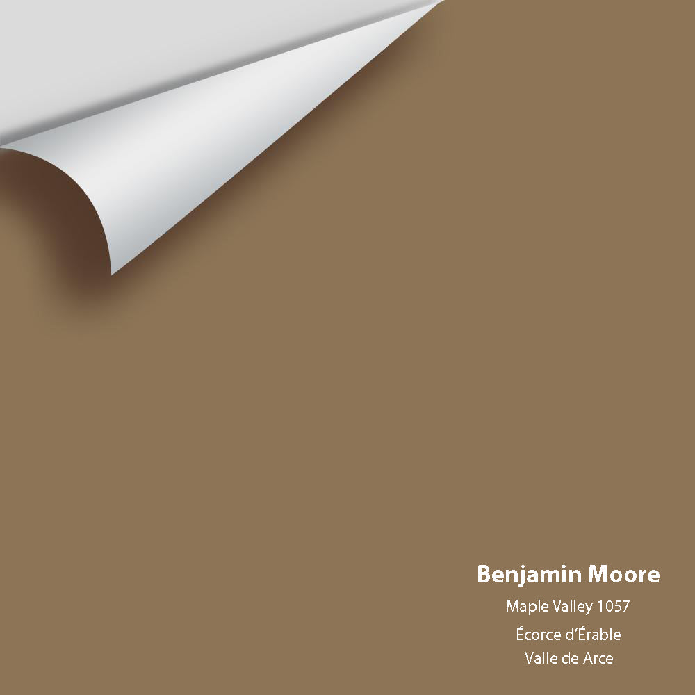 The Color House Benjamin Moore Peel & Stick Paint Samples