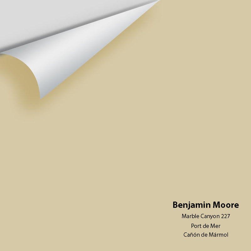 Benjamin Moore - Marble Canyon 227 Peel & Stick Color Sample