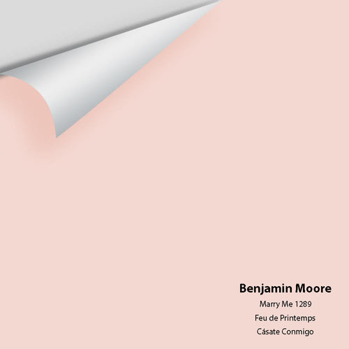Benjamin Moore - Marry Me 1289 Peel & Stick Color Sample