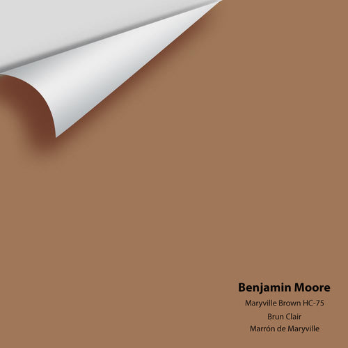 Benjamin Moore - Maryville Brown HC-75 Peel & Stick Color Sample