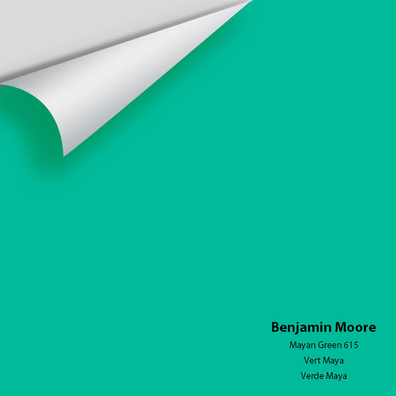 Benjamin Moore - Mayan Green 615 Peel & Stick Color Sample
