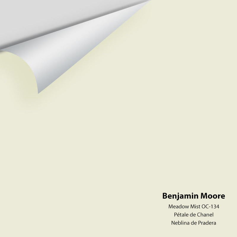 Benjamin Moore - Meadow Mist 936/OC-134 Peel & Stick Color Sample