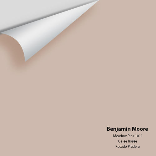 Benjamin Moore - Meadow Pink 1011 Peel & Stick Color Sample