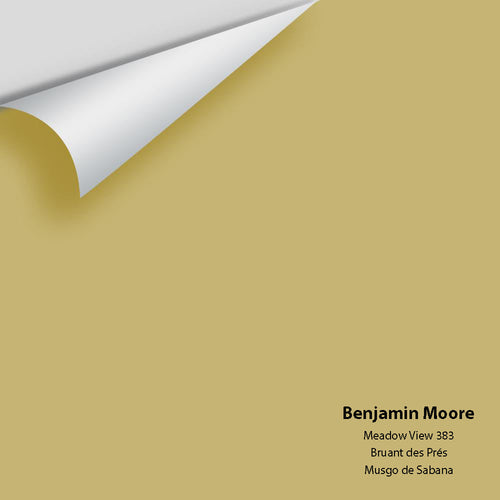 Benjamin Moore - Meadow View 383 Peel & Stick Color Sample
