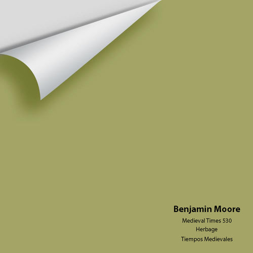 Benjamin Moore - Medieval Times 530 Peel & Stick Color Sample