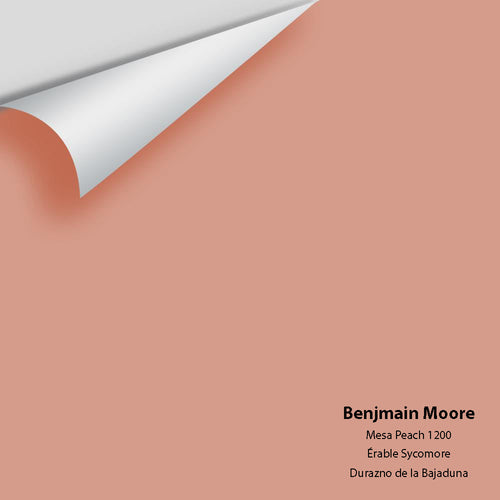 Benjamin Moore - Mesa Peach 1200 Peel & Stick Color Sample