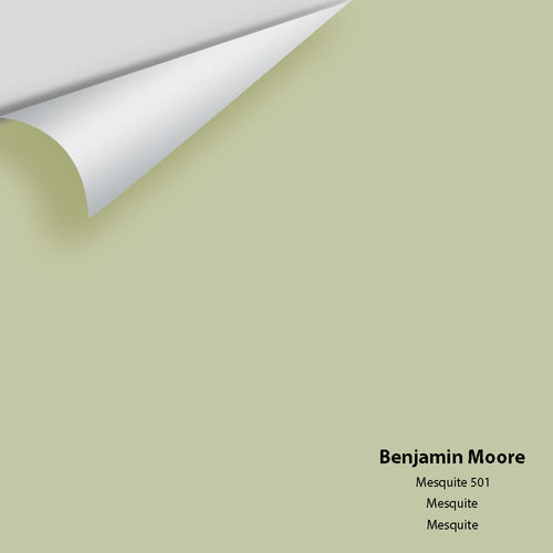 Benjamin Moore - Mesquite 501 Peel & Stick Color Sample