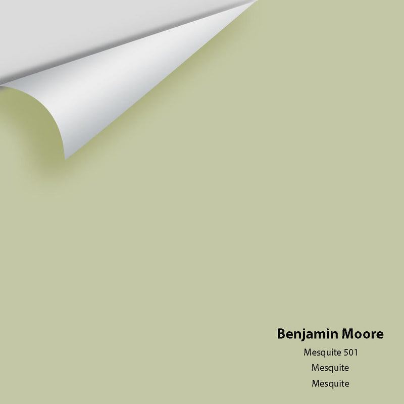 Benjamin Moore - Mesquite 501 Peel & Stick Color Sample