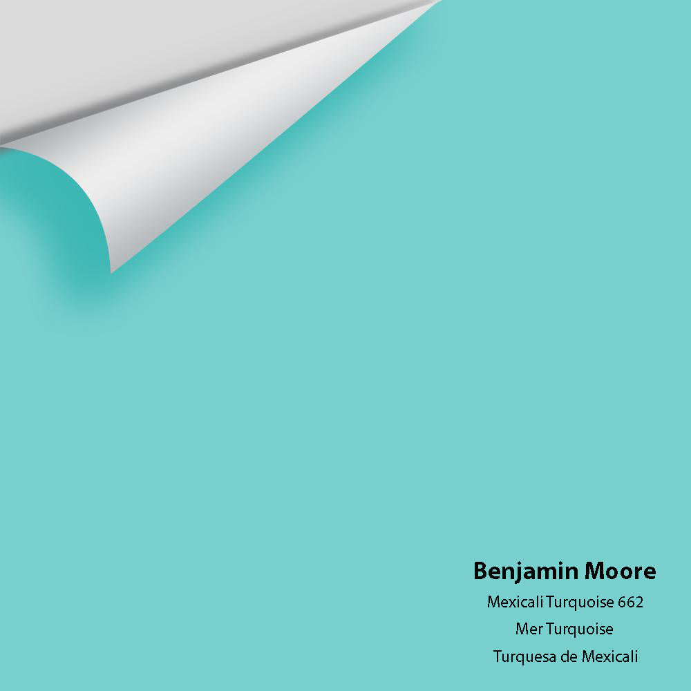 9246 Color The Color House Benjamin Moore Peel & Stick Paint Samples