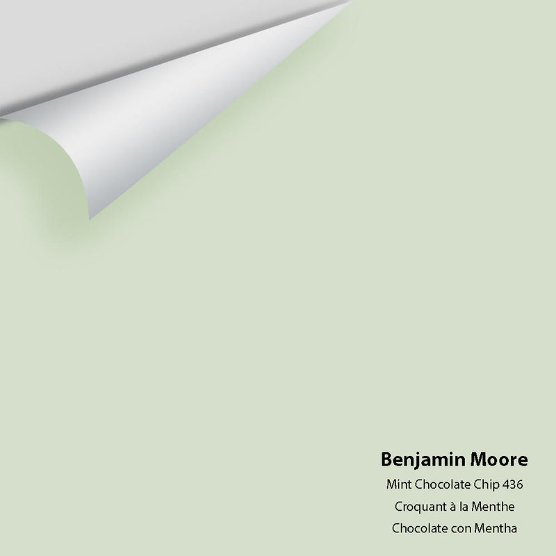 Benjamin Moore - Mint Chocolate Chip 436 Peel & Stick Color Sample