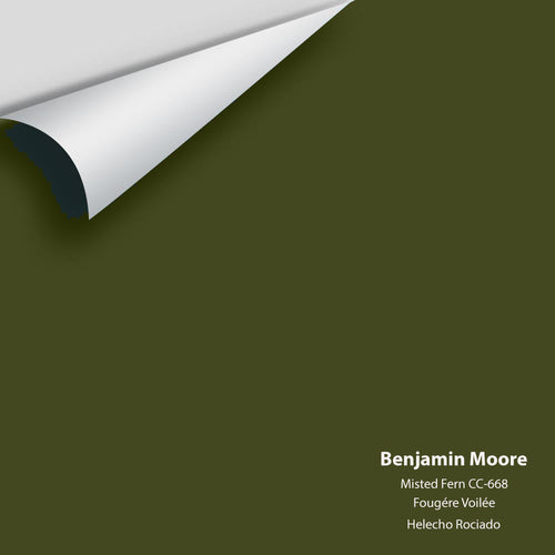 Benjamin Moore - Misted Fern 482/CC-668 Peel & Stick Color Sample